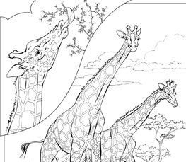 giraffe picture to color