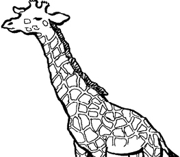 giraffe to color