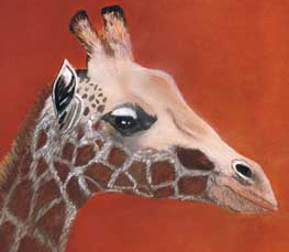 giraffe drawing